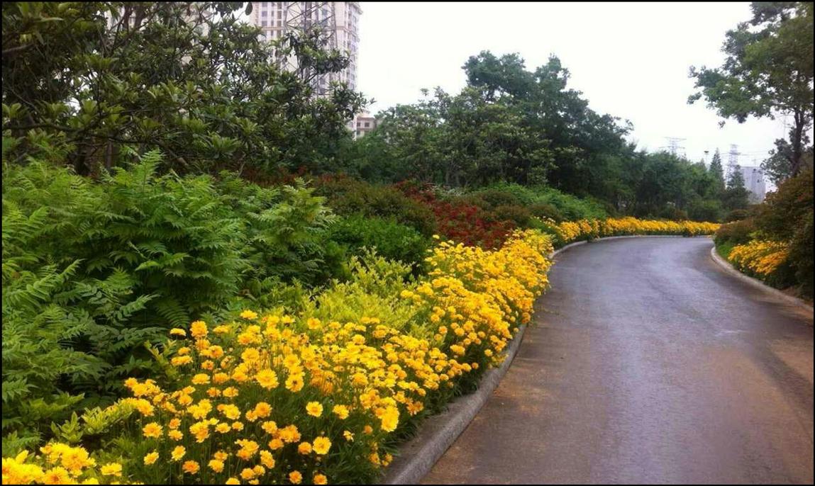 集團(tuán)五項工程榮獲“濟南市園林綠化優(yōu)秀規(guī)劃設(shè)計”獎